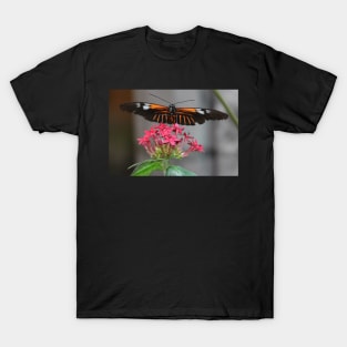 Stretched out Butterfly T-Shirt